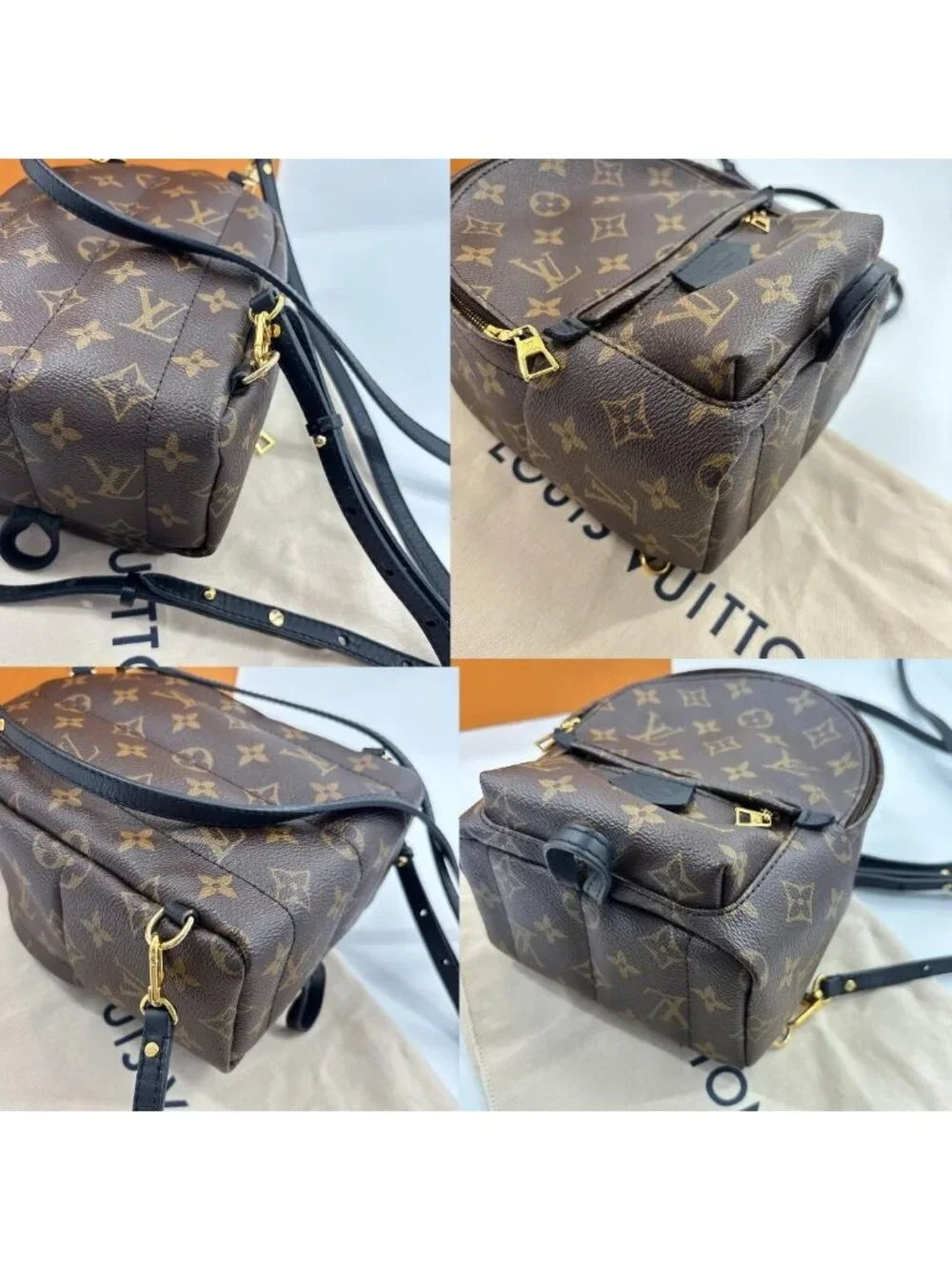 Louis Vuitton Palm Springs Mini Backpack Monogram